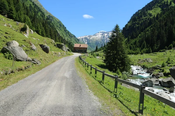 美丽的瑞士自然是在美丽的夏日里拍摄的 天空是蓝色的 自然是绿色的 风景是伟大的 — 图库照片