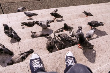 Güvercinleri meydanda dikilirken beslemek ve gerisini yemek..