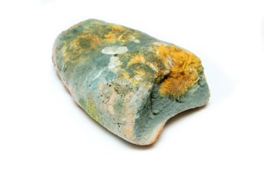 Hdpe çuvalındaki yanlış depolama yüzünden tamamen küflü bir ekmek resmi. Çürümüş ve yenilemez. Beyaz arkaplanda izole.