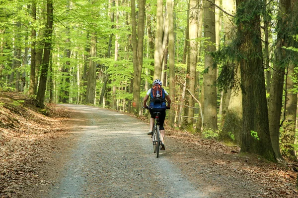 Das Bild Aus Dem Naturpark Der Tschechischen Republik Heißt Vodradsk — Stockfoto