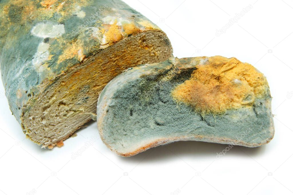 The picture of a fully mouldy bread because of the wrong storage in hdpe sack. Rotten and uneatable. Isolated on white background.