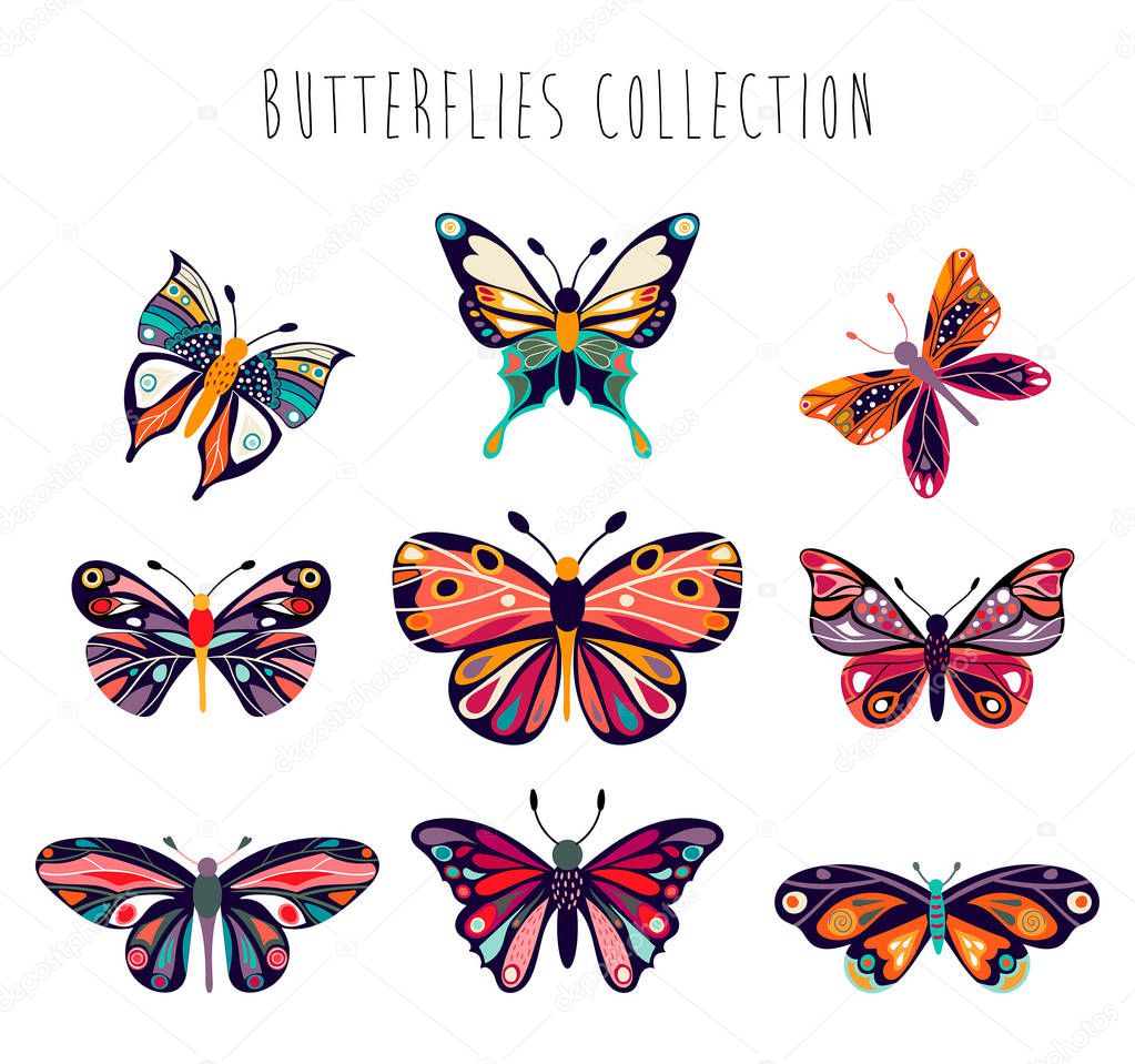 Butterflies collection 