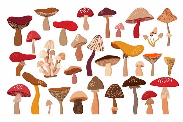 Champignons Collection Décorative Avec Dessinés Main Différents Éléments Isolés Sur — Image vectorielle