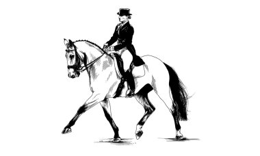 horse drawn black and white clipart