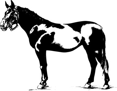 horse drawn black and white clipart