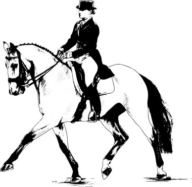 bir at üzerinde jokey