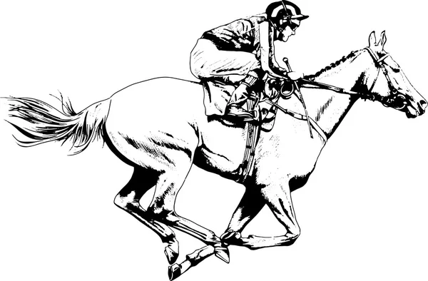 bir at üzerinde jokey