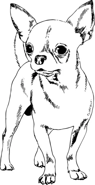 Perro dibujado con tinta sobre fondo blanco — Vector de stock