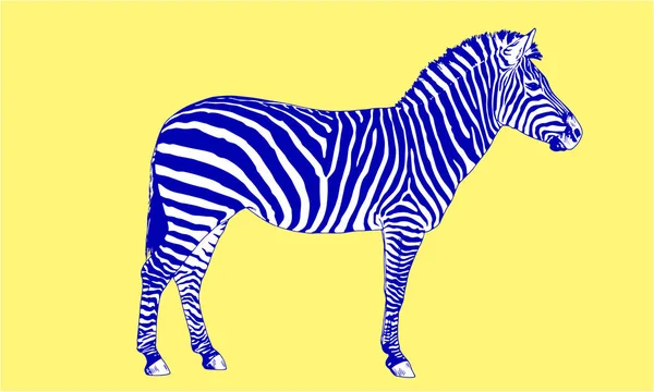 Zebra dras med bläck pop art vektor — Stock vektor