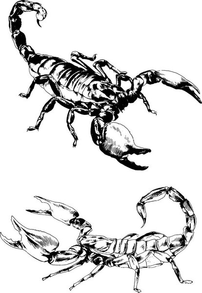 набор векторных рисунков на тему атаки Скорпионов нарисованы вручную
 