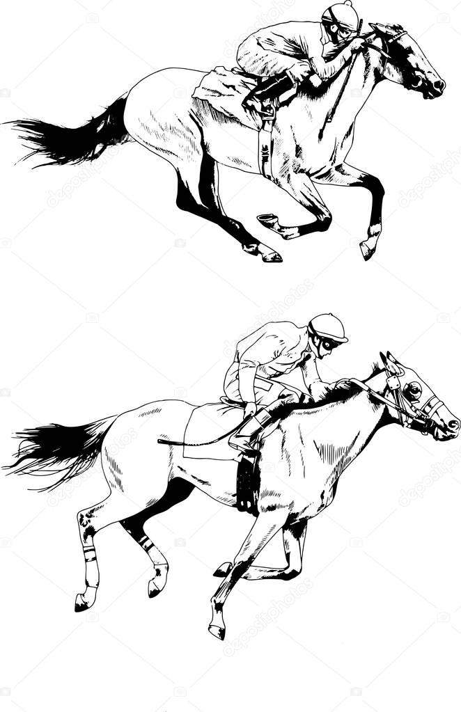Set of vector drawings on the theme of jockey on race horse hand-drawn isolated