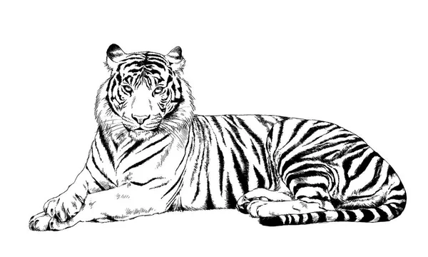 bir yırtıcı hayvan dövme elinden mürekkeple çizilmiş kaplan