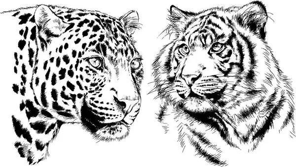 Conjunto de dibujos vectoriales sobre el tema de los depredadores se dibujan a mano con tatuaje de tinta — Archivo Imágenes Vectoriales