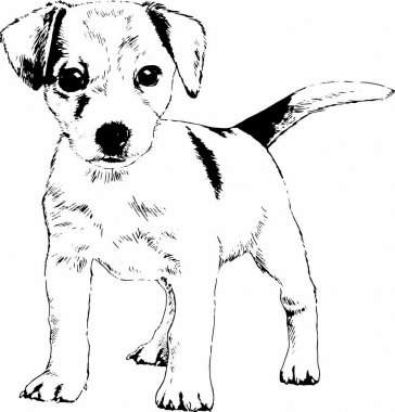 safkan köpek mürekkeple elle çizilmiş kroki