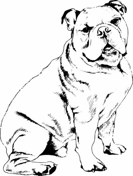 safkan köpek mürekkeple elle çizilmiş kroki