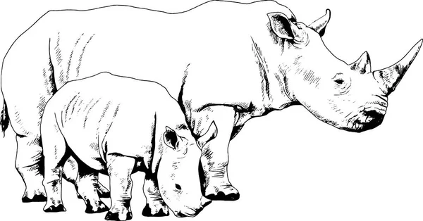 Grande rinoceronte disegnato a mano su uno sfondo bianco tatuaggio separato — Vettoriale Stock