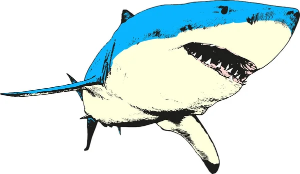Jaws bir beyaz zemin üzerine mürekkeple çizilmiş bir köpekbalığı — Stok Vektör