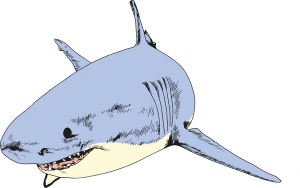 Ein in Tusche gezeichneter Hai auf weißem Hintergrund — Stockvektor