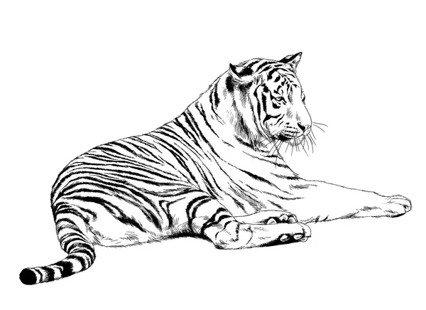 Тигр, намальований чорнилом з рук — стокове фото