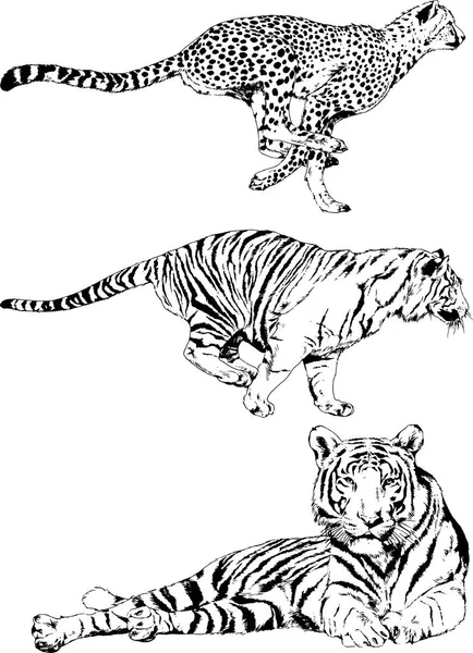 Conjunto de dibujos vectoriales sobre el tema de los depredadores se dibujan a mano con logotipos de tatuajes de tinta — Archivo Imágenes Vectoriales