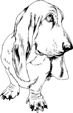 safkan köpek mürekkeple el ile beyaz bir arka plan üzerinde çizilmiş.