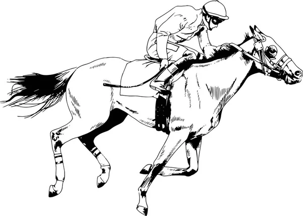 Jockey Cavalo Galopante Pintado Com Tinta Mão Fundo Branco —  Vetores de Stock