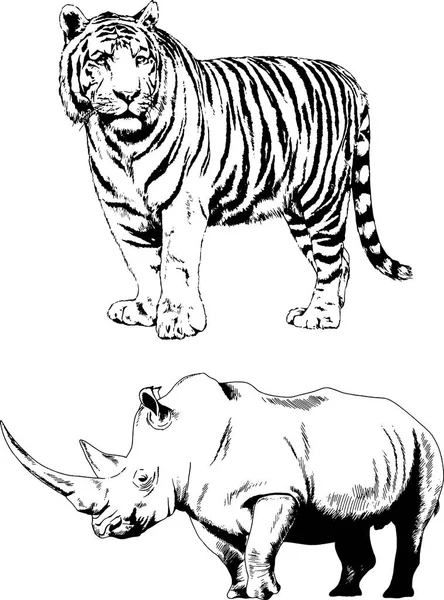 Set Vector Drawings Various Animals Hand Drawn Ink — Stock Vector