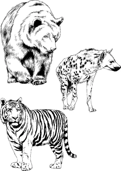 Set Vector Drawings Various Animals Hand Drawn Ink — Stock Vector