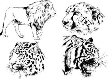 Yırtıcıların temasındaki vektör çizimleri mürekkep dövmeli logolarla elle çizilir.