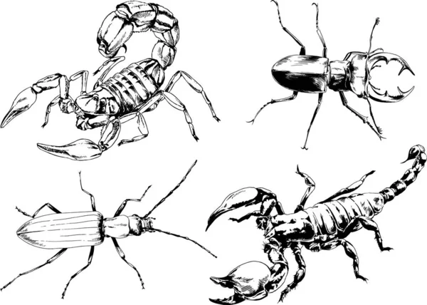 Vectortekeningen Schetst Verschillende Insecten Insecten Schorpioenen Spinnen Met Hand Getekend — Stockvector