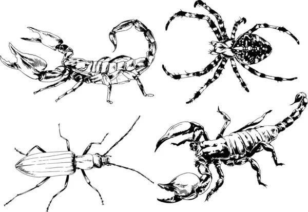 Vektorzeichnungen Skizzieren Verschiedene Insekten Käfer Skorpione Spinnen Mit Tusche Von — Stockvektor