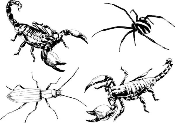 ベクトル図は異なる昆虫のバグをスケッチ手でインクで描かれたスコーピオンクモ 背景のないオブジェクト — ストックベクタ