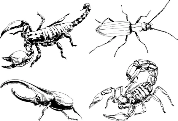 Desenhos Vetoriais Esboços Diferentes Insetos Insetos Escorpiões Aranhas Desenhadas Tinta — Vetor de Stock