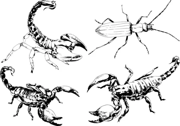 Vectortekeningen Schetst Verschillende Insecten Insecten Schorpioenen Spinnen Met Hand Getekend — Stockvector