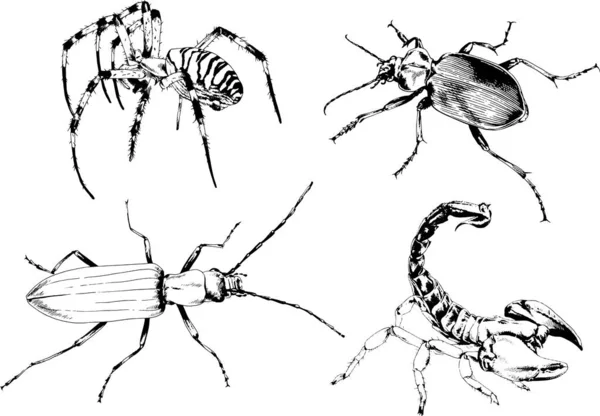 Vectortekeningen Schetst Verschillende Insecten Insecten Schorpioenen Spinnen Met Hand Getekend — Stockvector