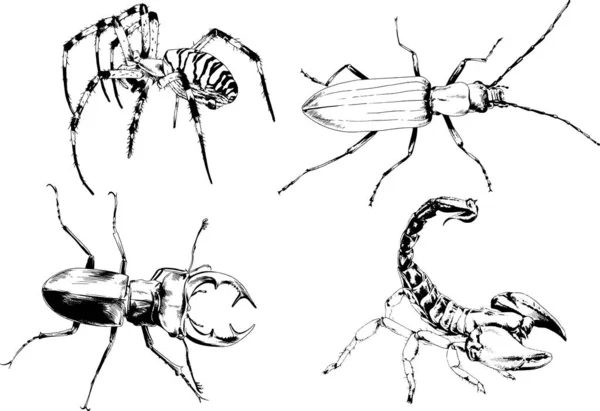 Dibujos Vectoriales Bocetos Insectos Diferentes Insectos Scorpions Arañas Dibujadas Con — Vector de stock