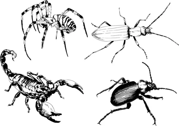 Векторные Рисунки Эскизы Различных Насекомых Жуки Scorpions Пауки Нарисованы Чернилами — стоковый вектор