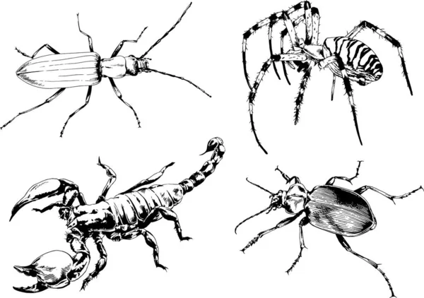 Disegni Vettoriali Schizzi Insetti Diversi Insetti Ragni Scorpioni Disegnati Mano — Vettoriale Stock