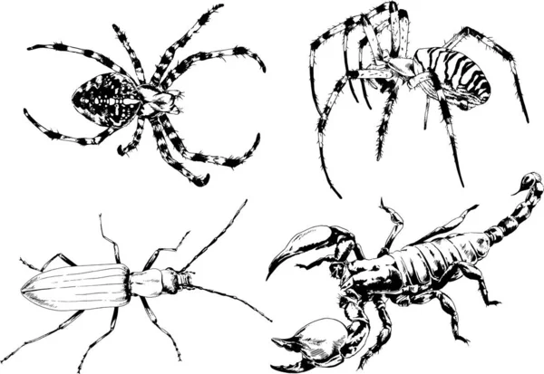 Desenhos Vetoriais Esboços Diferentes Insetos Insetos Escorpiões Aranhas Desenhadas Tinta —  Vetores de Stock