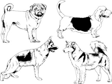 farklı doğurmak-in köpekler mürekkeple el ile arka plan ile seçili nesneleri çizilmiş vektör çizimler