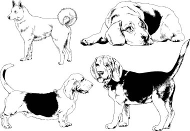 farklı doğurmak-in köpekler mürekkeple el ile arka plan ile seçili nesneleri çizilmiş vektör çizimler
