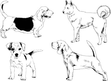 farklı doğurmak-in köpekler mürekkeple el ile arka plan ile seçili nesneleri çizilmiş vektör çizimler