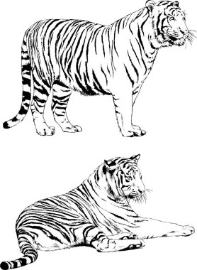 Yırtıcıların temasındaki vektör çizimleri mürekkep dövmeli logolarla elle çizilir.