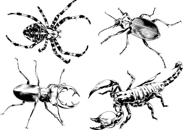 Vectortekeningen Schetst Verschillende Insecten Insecten Schorpioenen Spinnen Met Hand Getekend — Stockvector