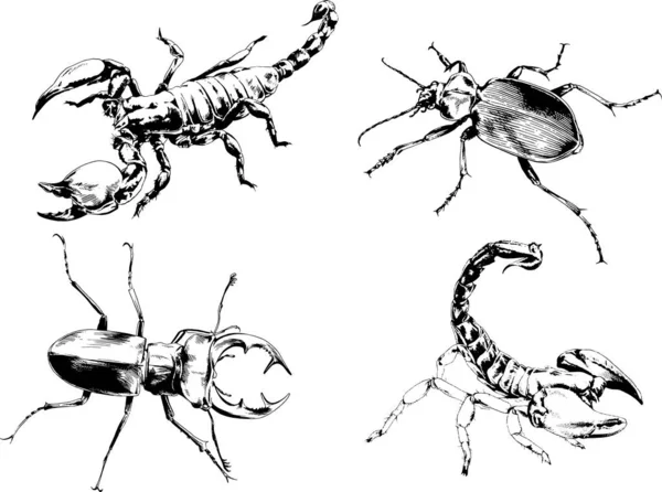 Dibujos Vectoriales Bocetos Insectos Diferentes Insectos Scorpions Arañas Dibujadas Con — Vector de stock