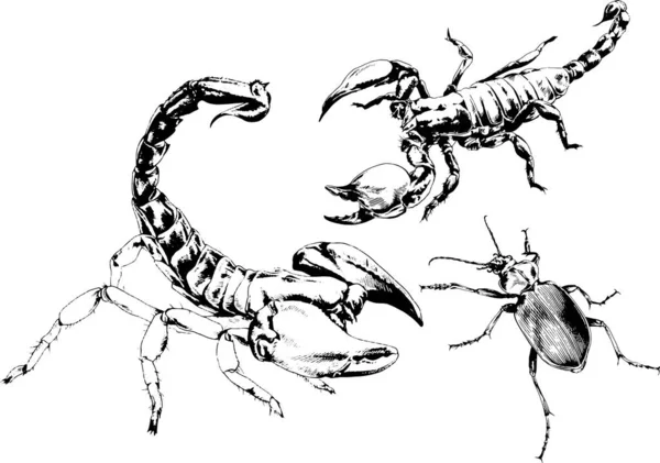 Vektör Çizimleri Farklı Böcekler Çizer Akrepler Mürekkeple Çizilen Örümcekler Arka — Stok Vektör