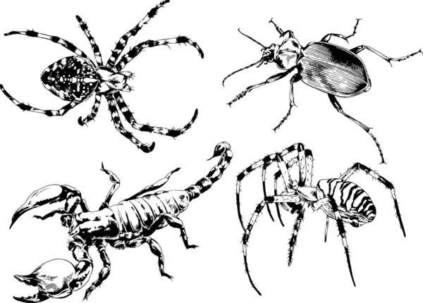 ベクトル図は異なる昆虫のバグをスケッチ手でインクで描かれたスコーピオンクモ 背景のないオブジェクト — ストックベクタ