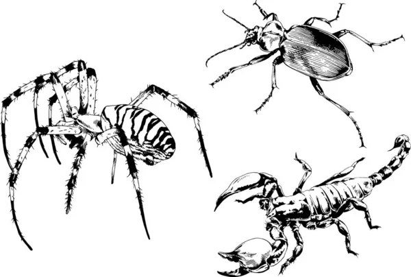 Dibujos Vectoriales Bocetos Insectos Diferentes Insectos Scorpions Arañas Dibujadas Con — Vector de stock