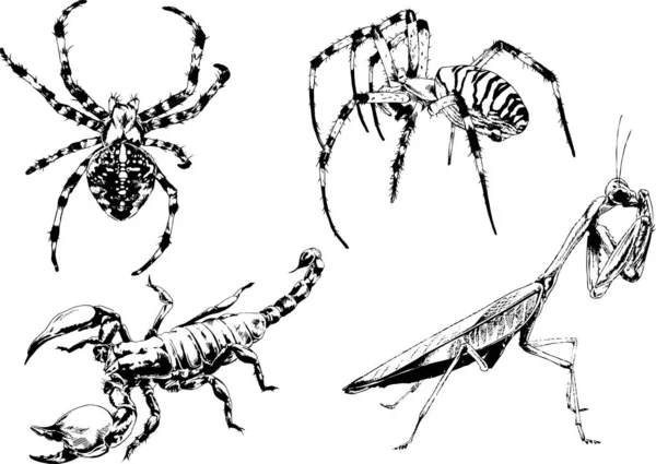 ベクトル図は異なる昆虫のバグをスケッチ手でインクで描かれたスコーピオンクモ 背景のないオブジェクト — ストックベクタ