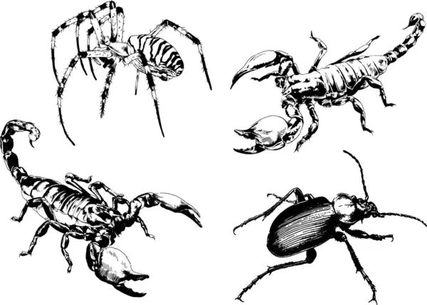 ベクトル図は異なる昆虫のバグをスケッチ手でインクで描かれたスコーピオンクモ 背景のないオブジェクト — ストックベクタ